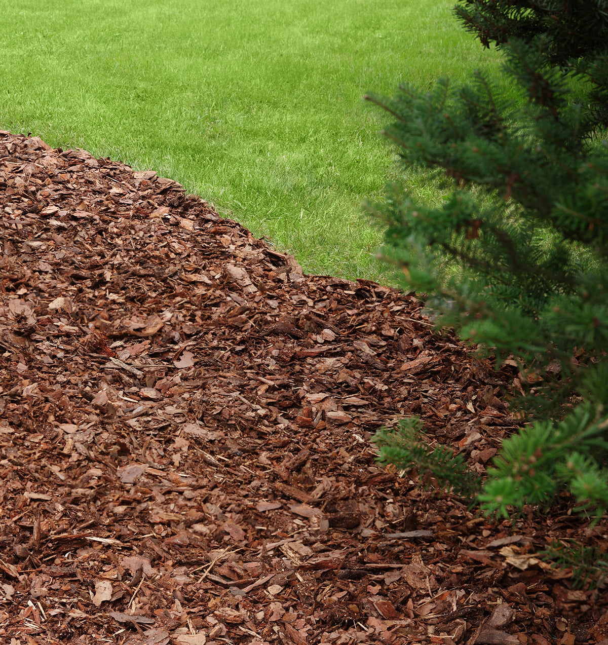 Decorative Bark Chippings