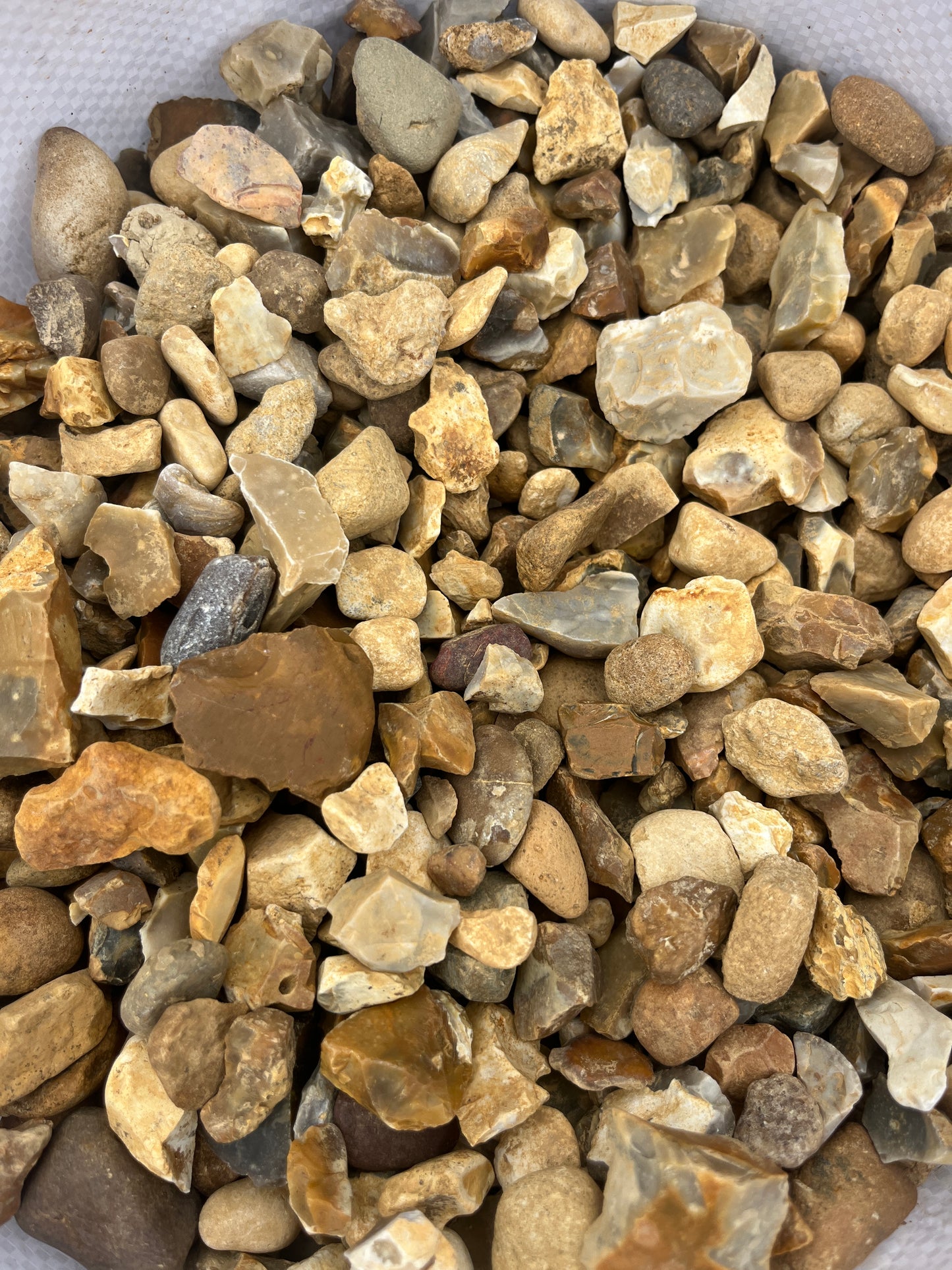Harvest Gold Gravel