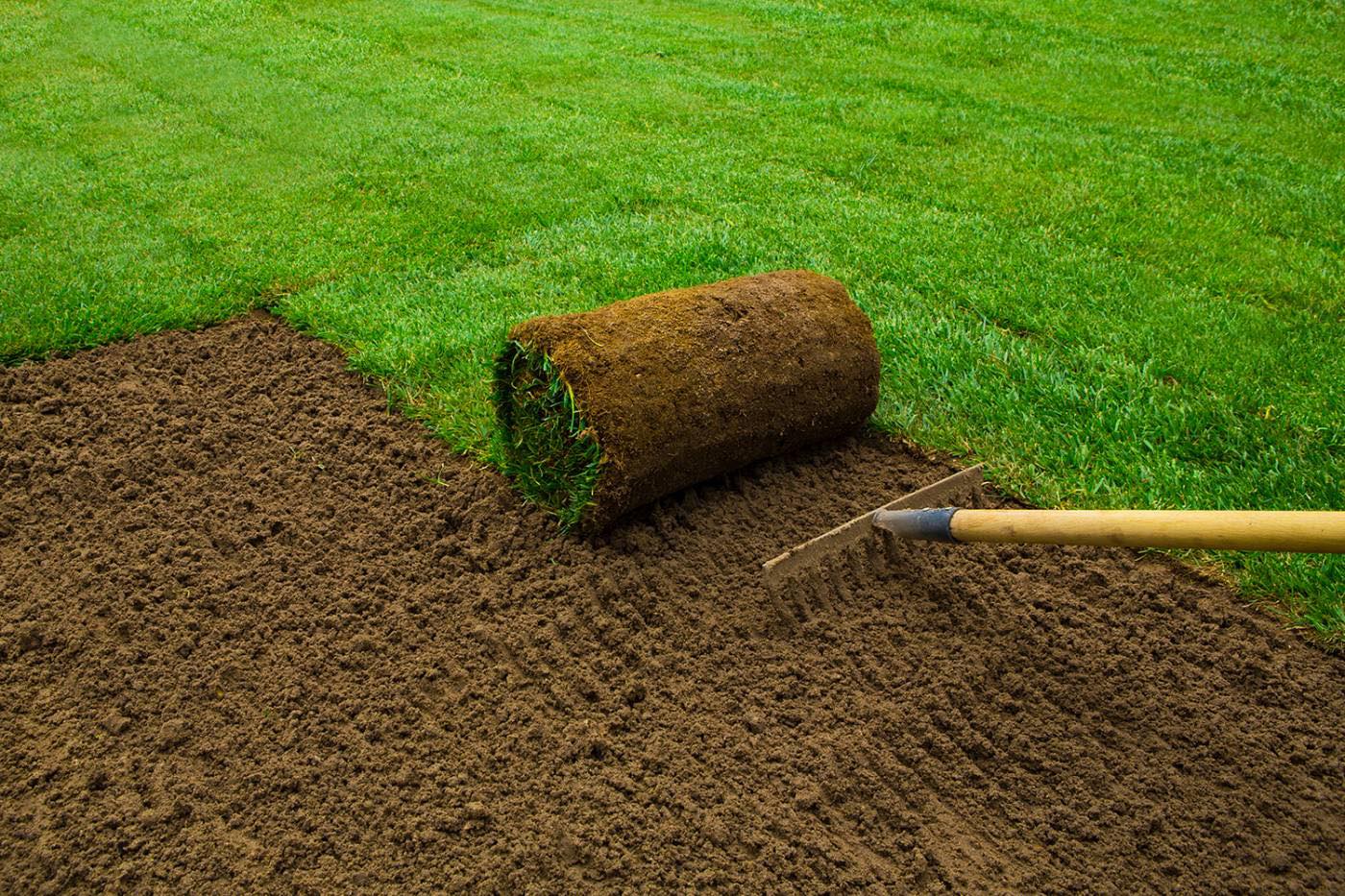 Rootzone Soil / Top Dressing