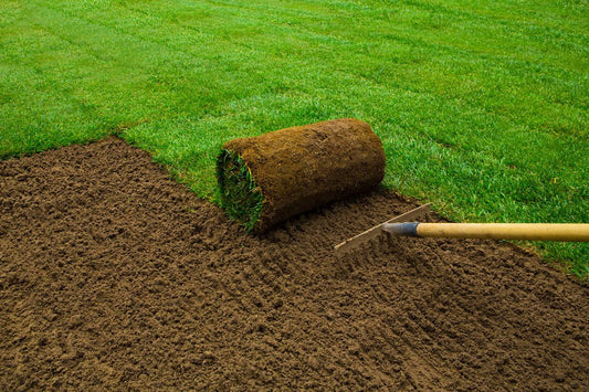 Rootzone Soil / Top Dressing