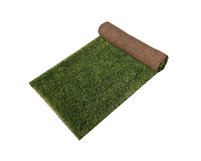 Turf Suppliers