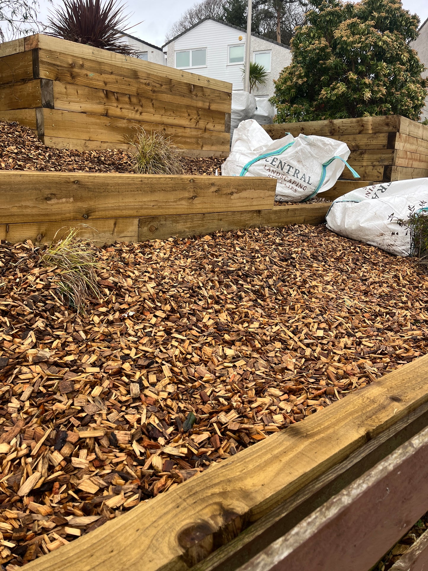 Premium Grade Wood Chips